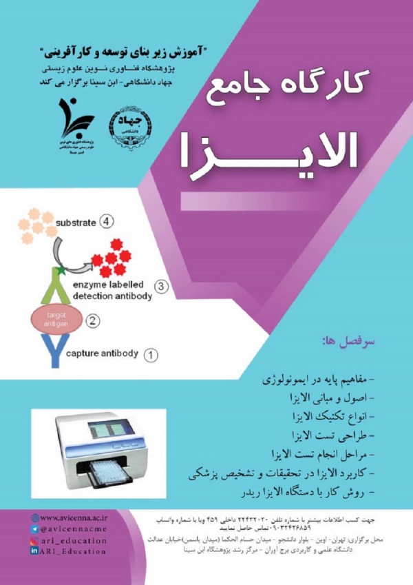 کارگاه جامع الایزا